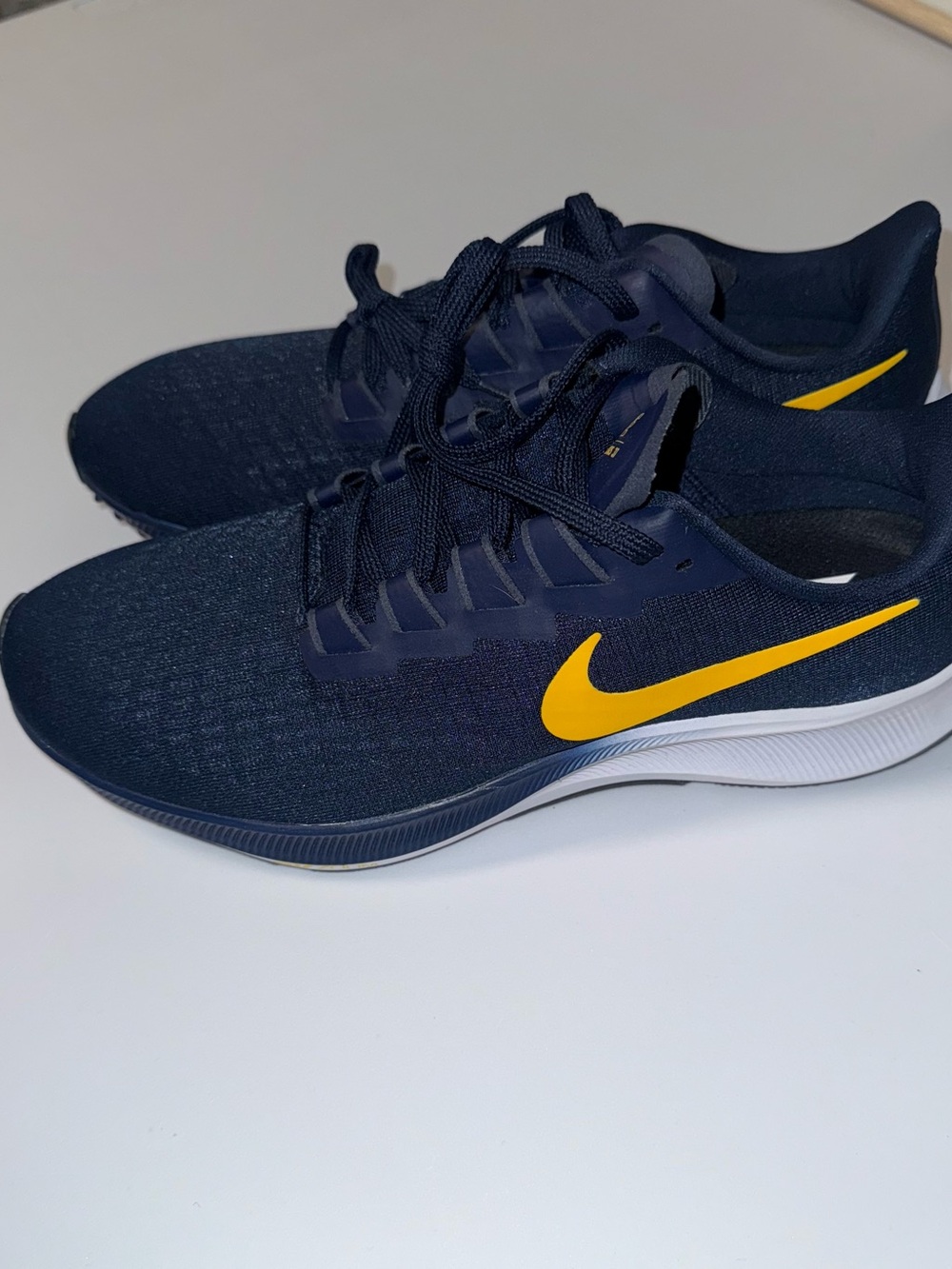 NWOT Nike Zoom Pegasus 37